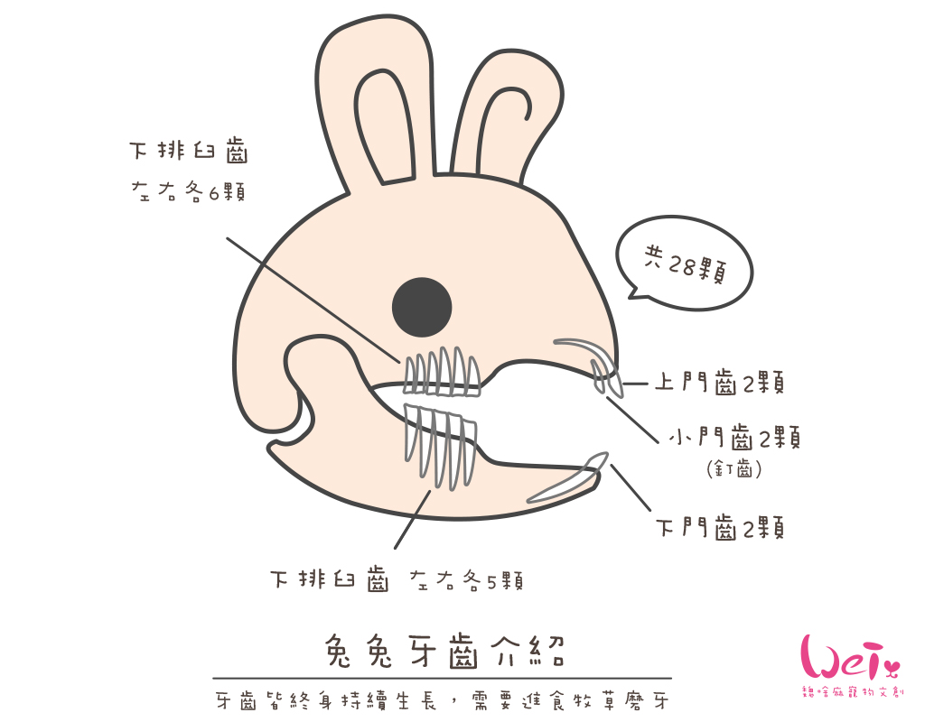伺奉-入門image03.jpg