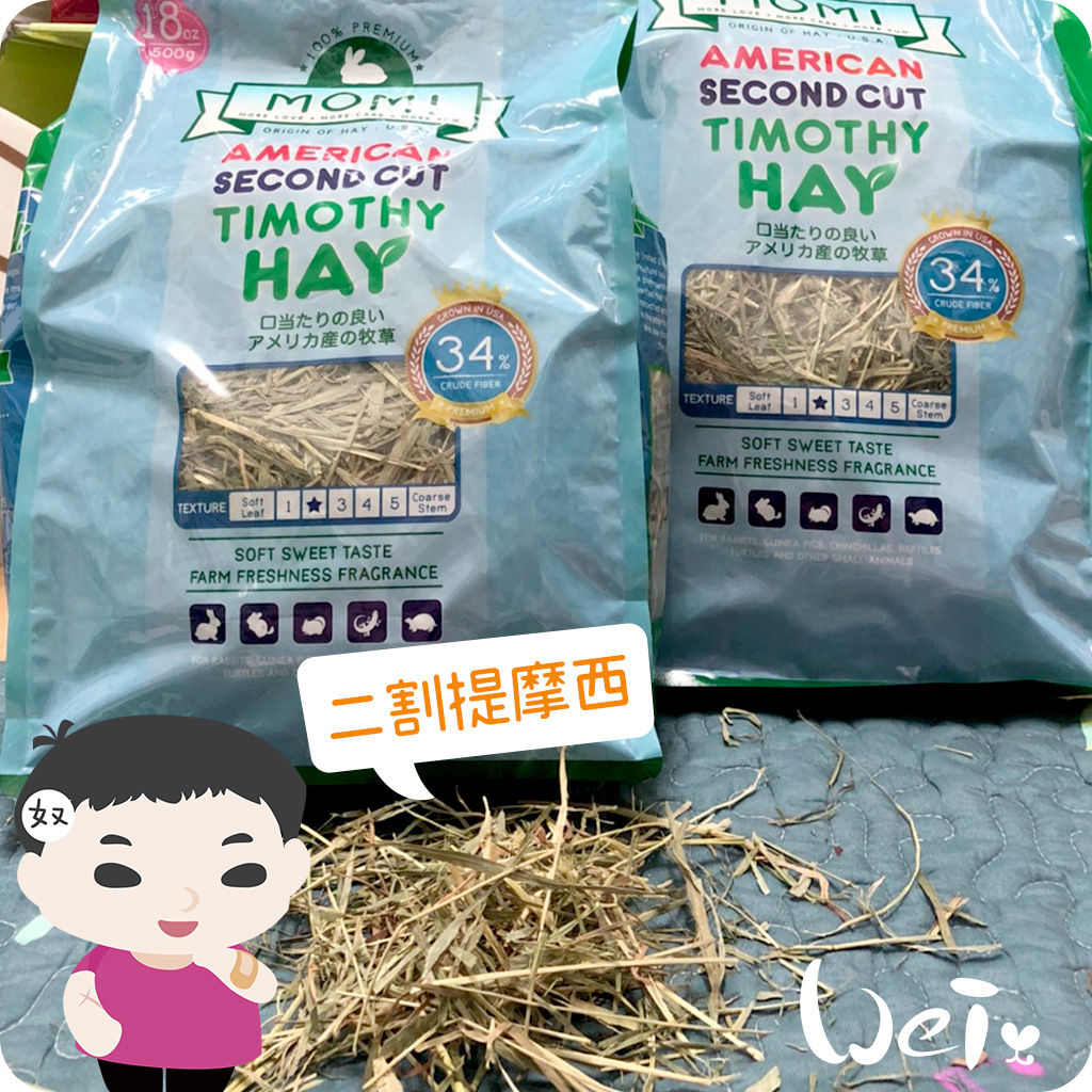 MOMI T2提摩西04.jpg