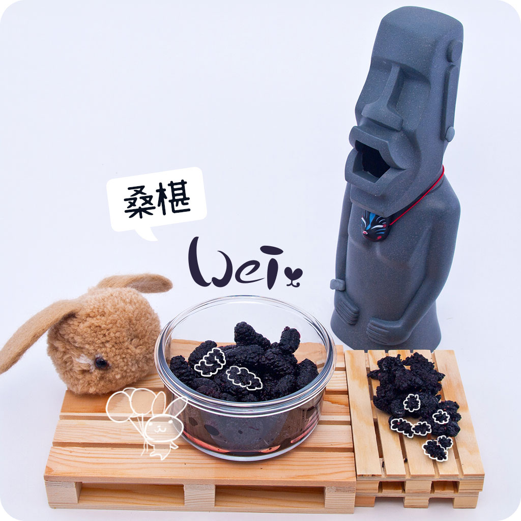 桑椹01.jpg
