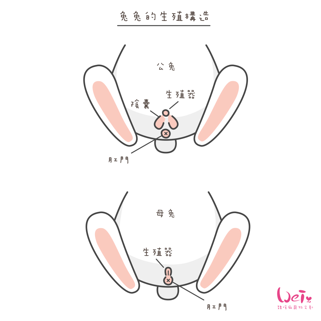 伺奉-入門image06.jpg
