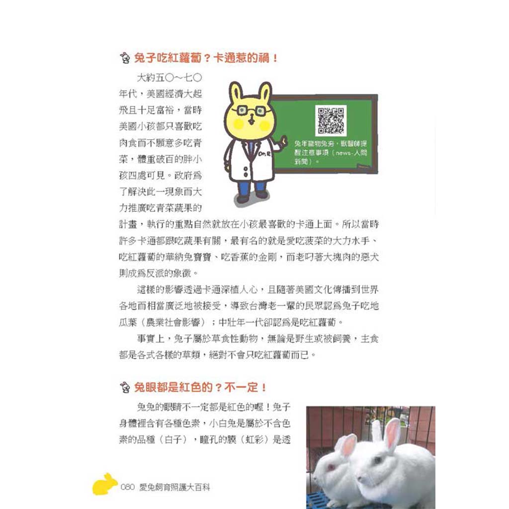 05.jpg