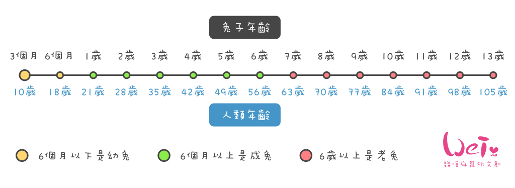 伺奉-入門image01.jpg