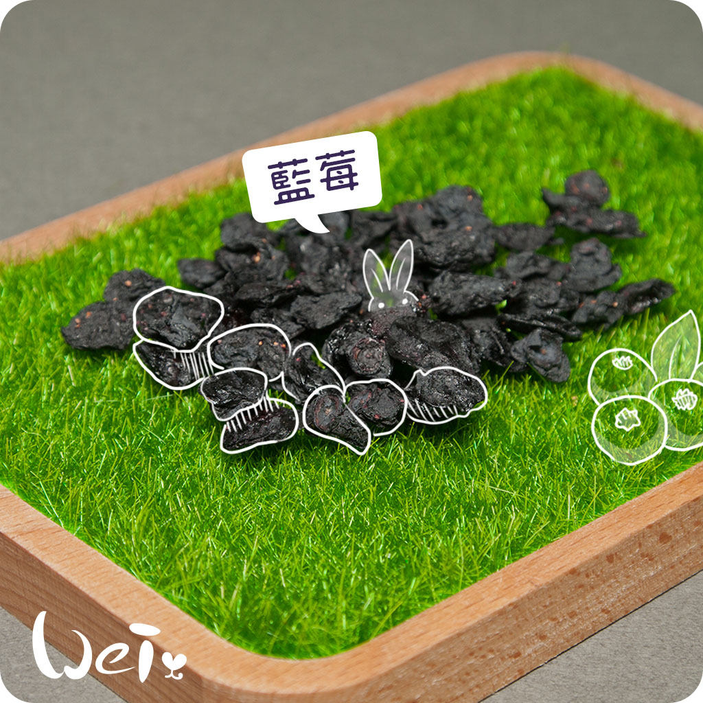 藍莓02.jpg