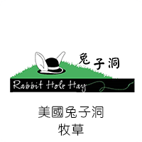 兔子洞.png