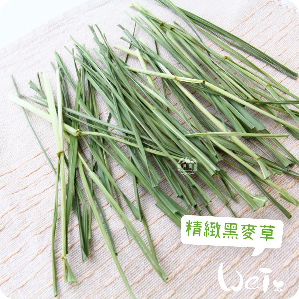 順月農園精緻黑麥草03.jpg