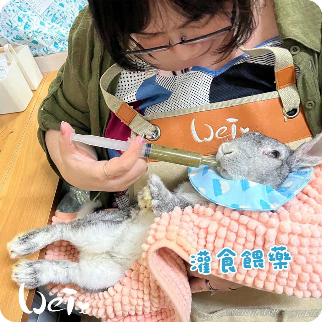 魏啥麻團隊照護經驗 魏啥麻團隊照護經驗