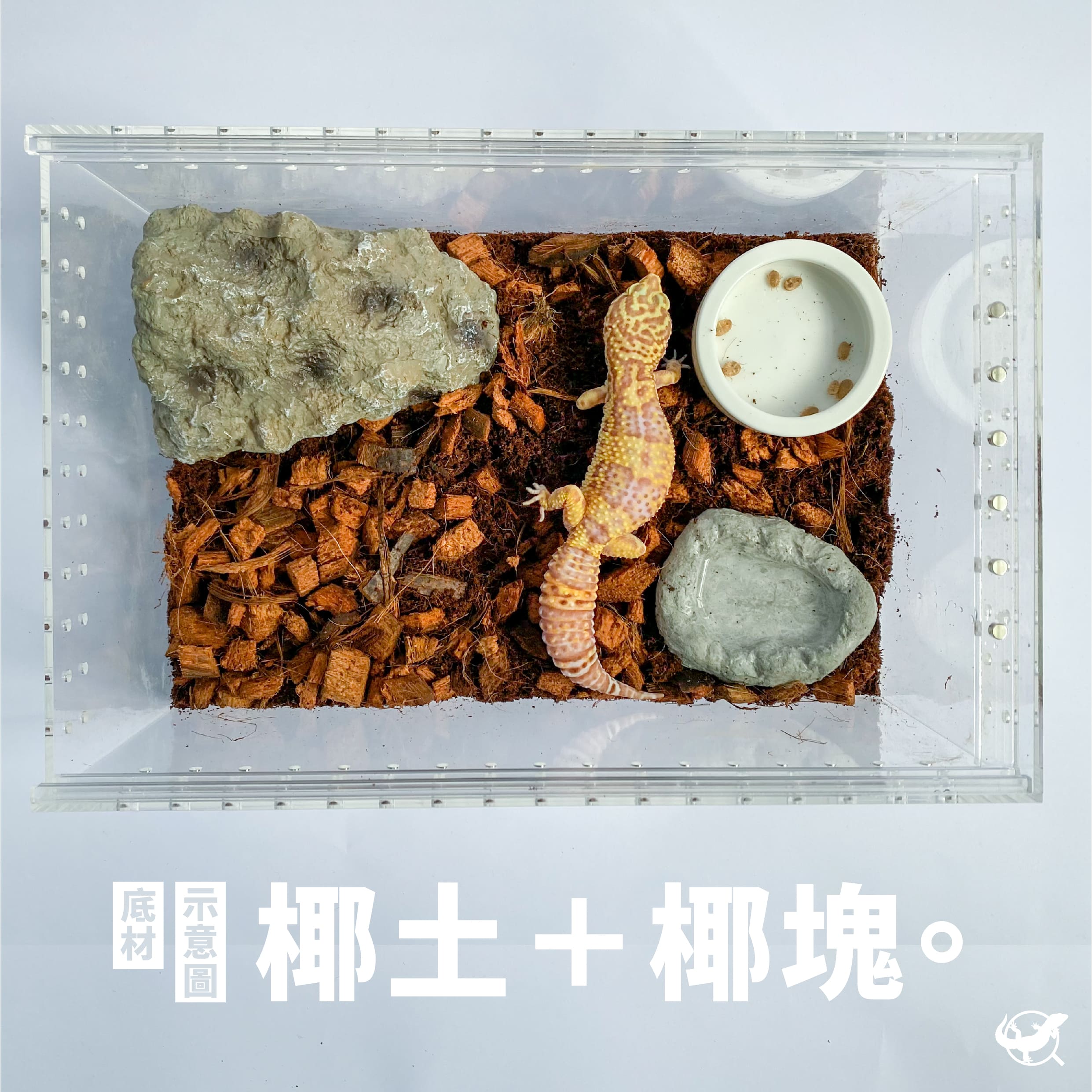 底材示意圖｜椰土＋椰塊