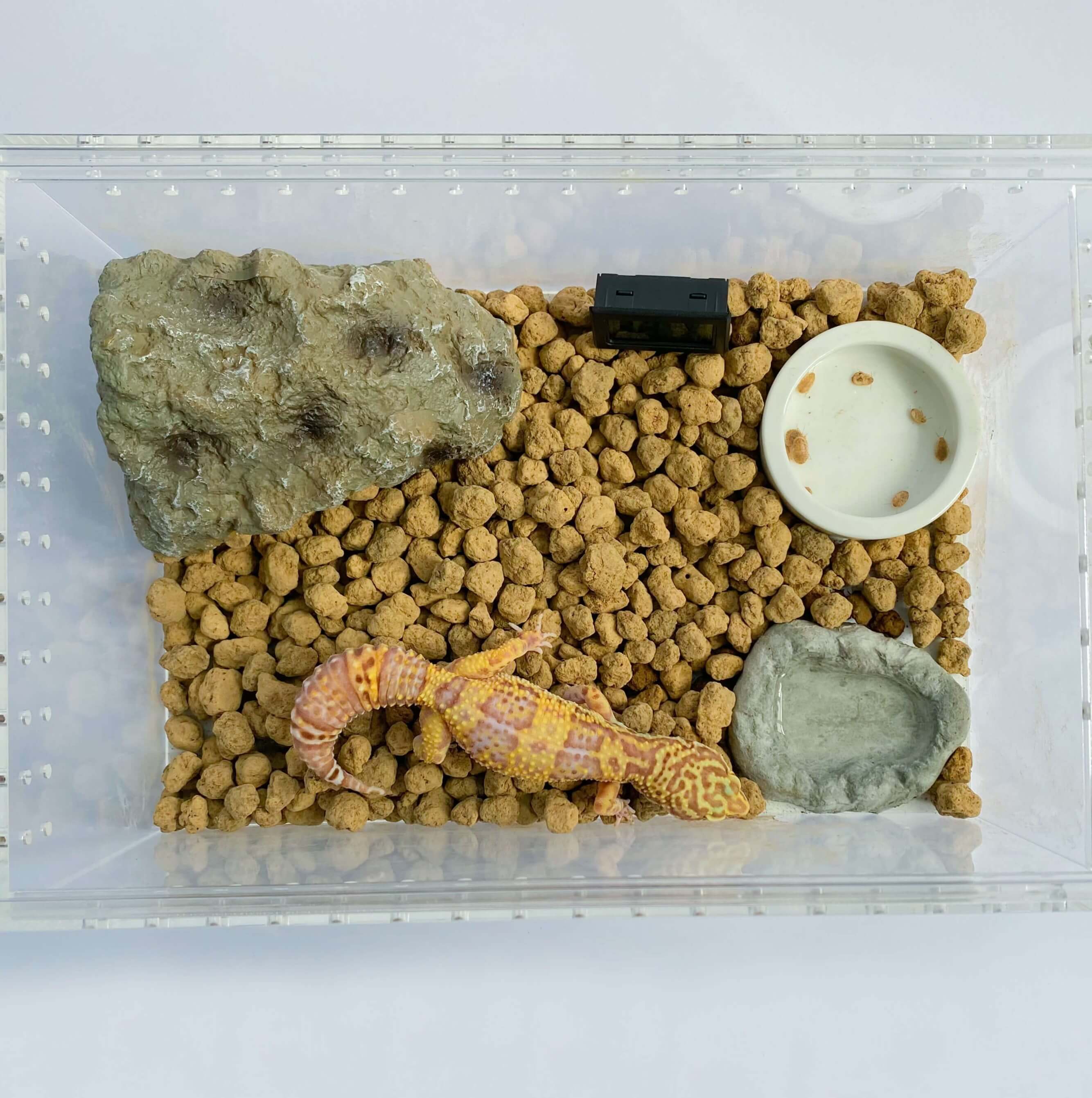 溫濕度計示意圖