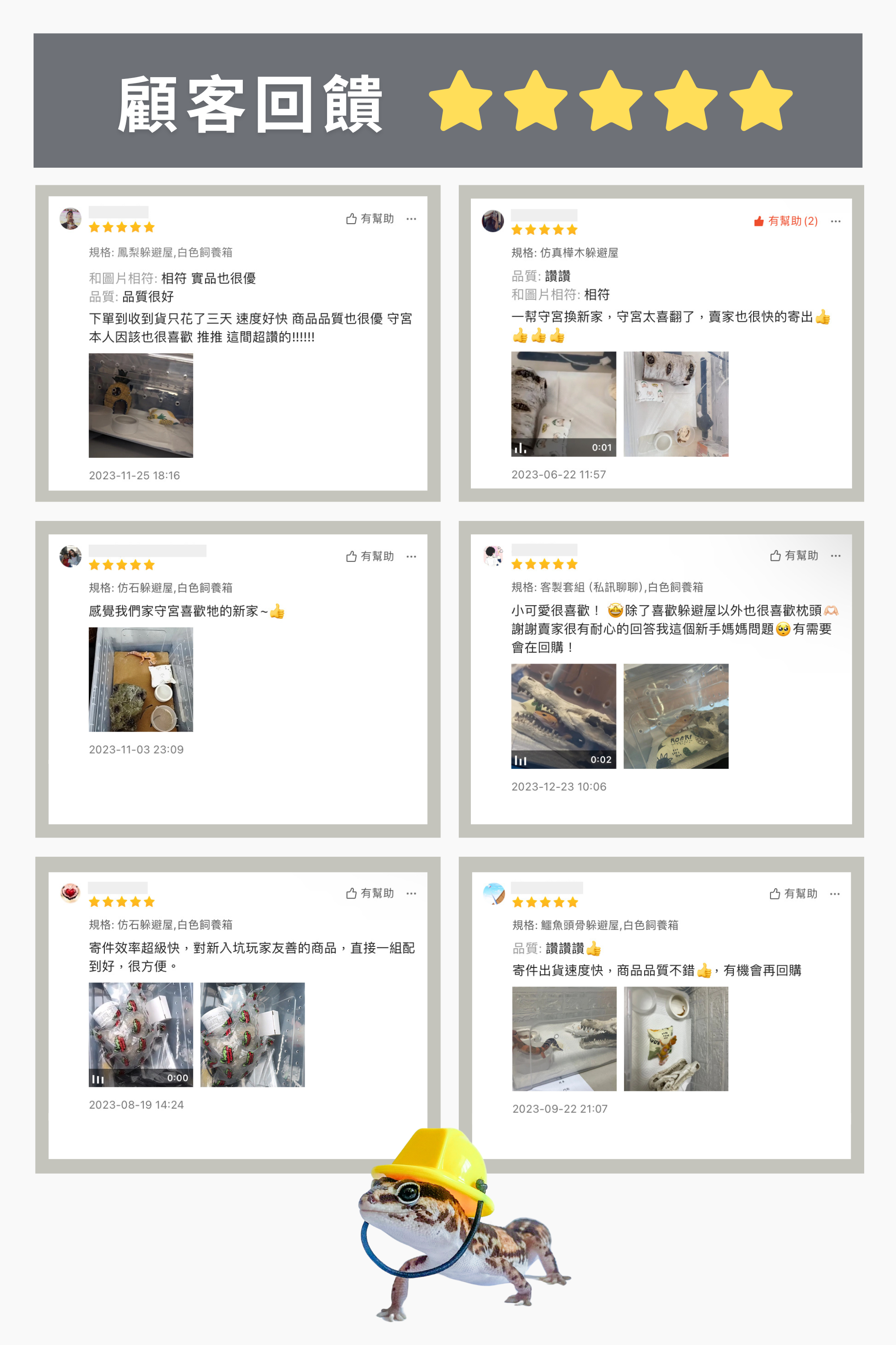 守宮基本組評論.png 守宮基本組 - 顧客評論