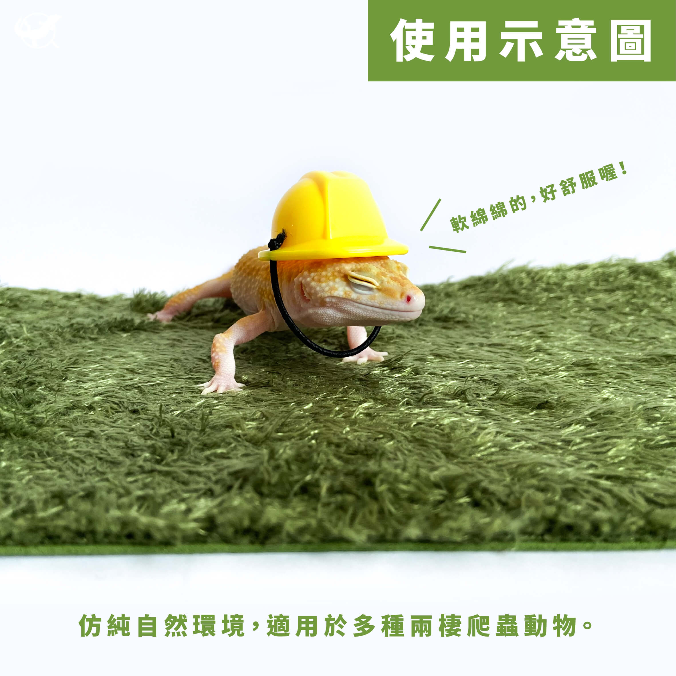 莫斯地毯－使用示意圖