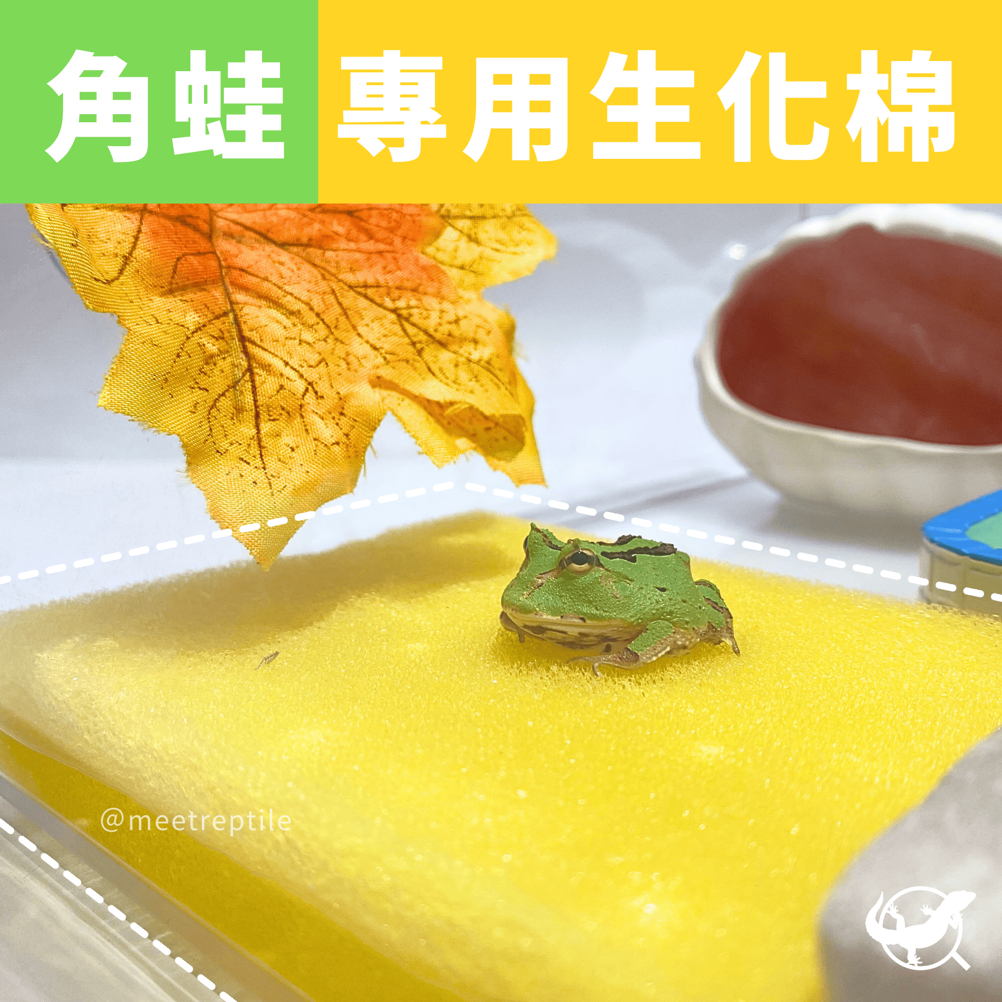 角蛙專用生化棉 角蛙專用生化棉