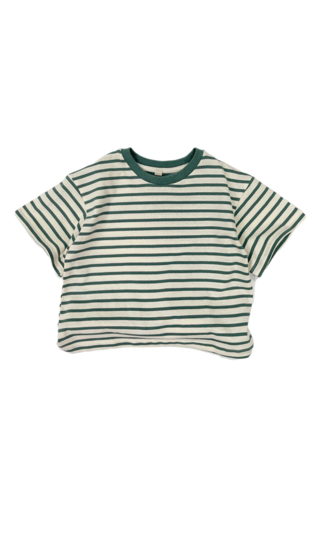 百搭條紋短T (松綠)