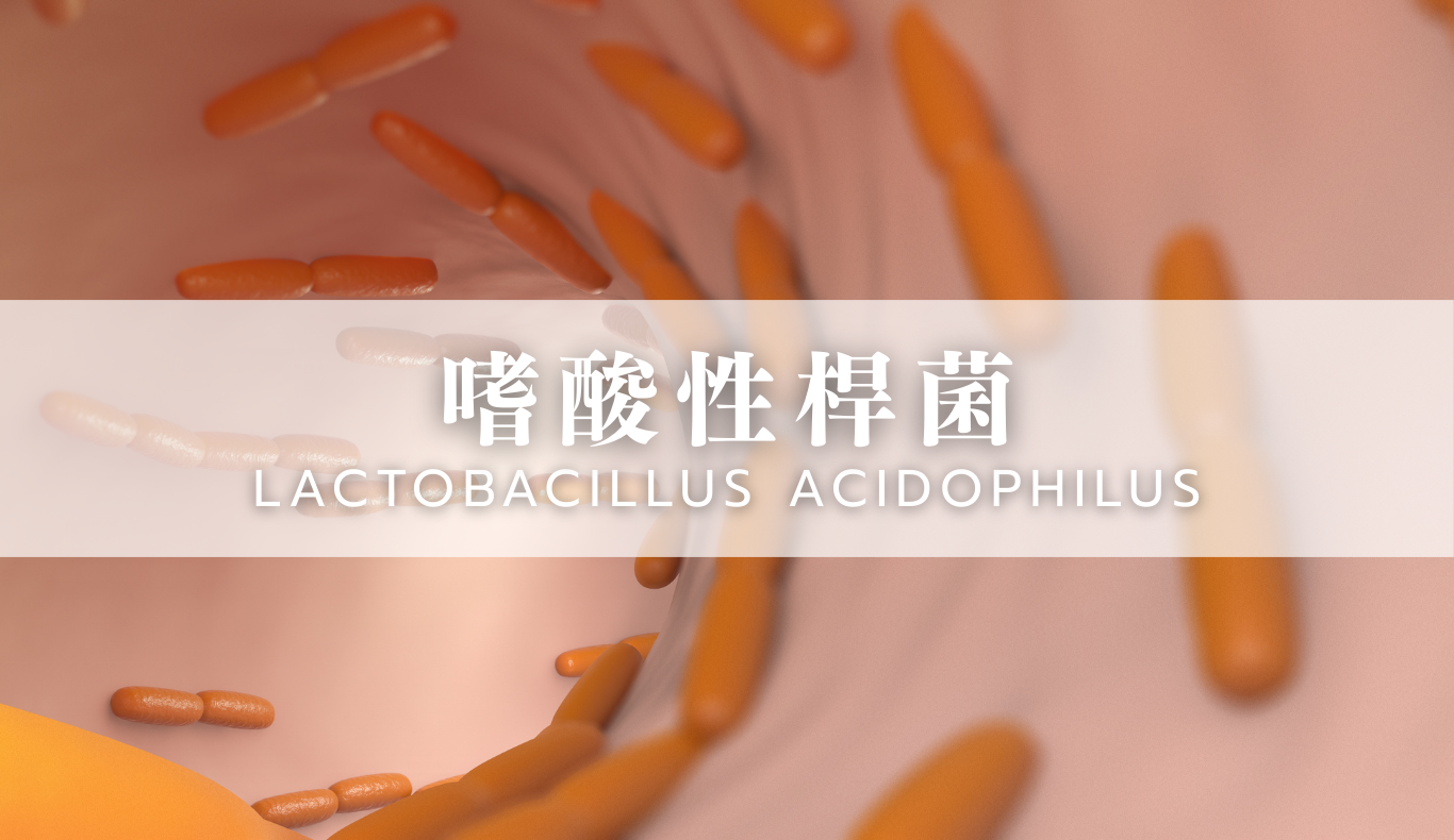 嗜酸性桿菌示意