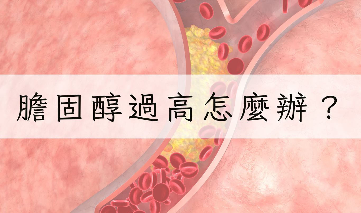 膽固醇衛教圖