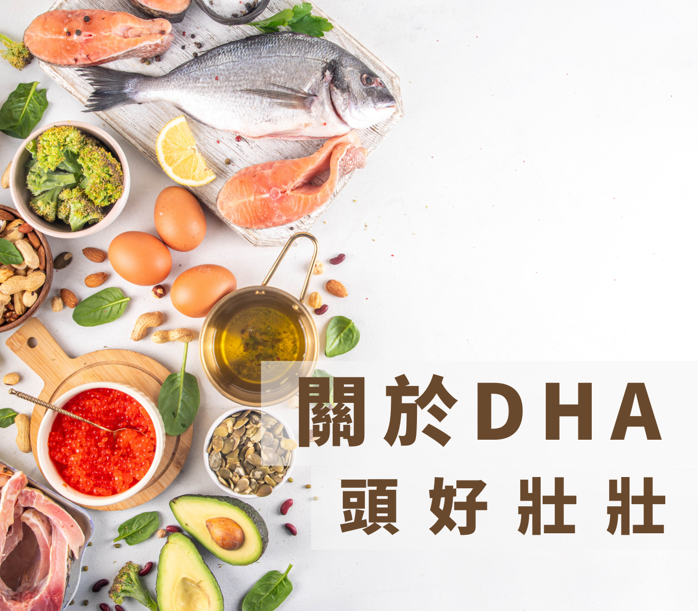 DHA介紹