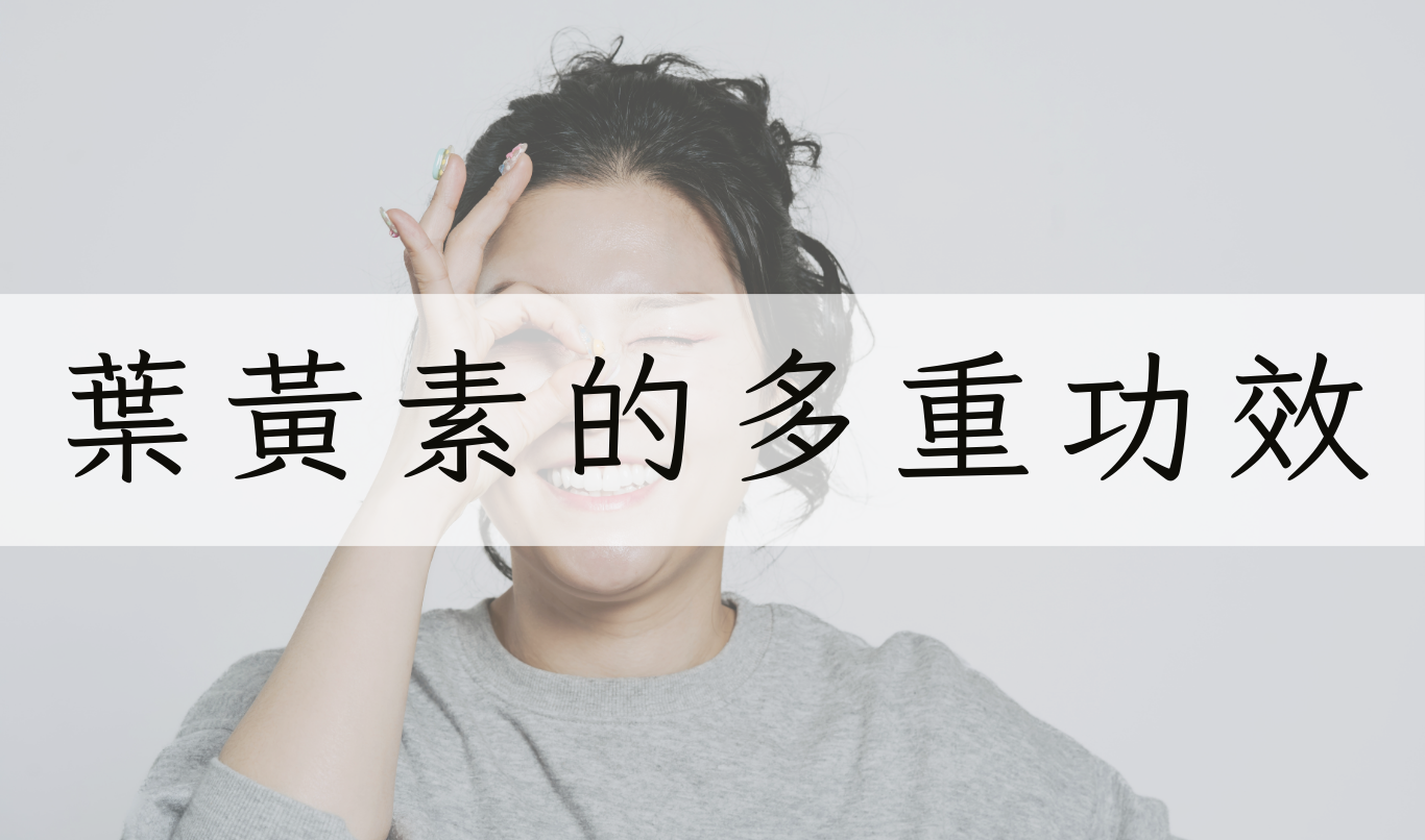 葉黃素功能圖