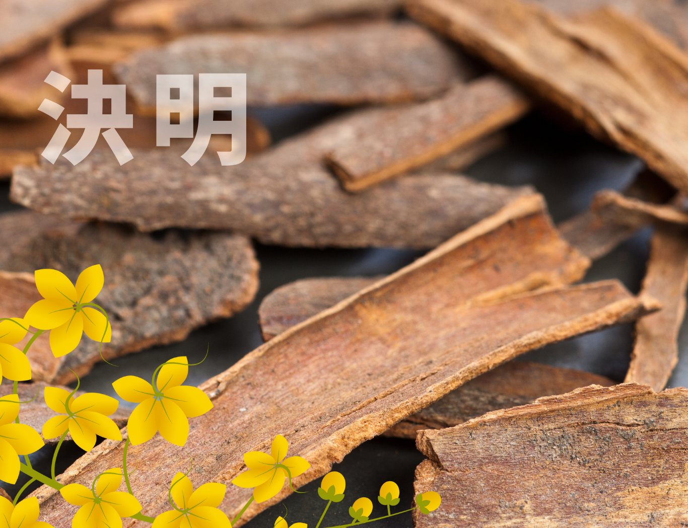 決明