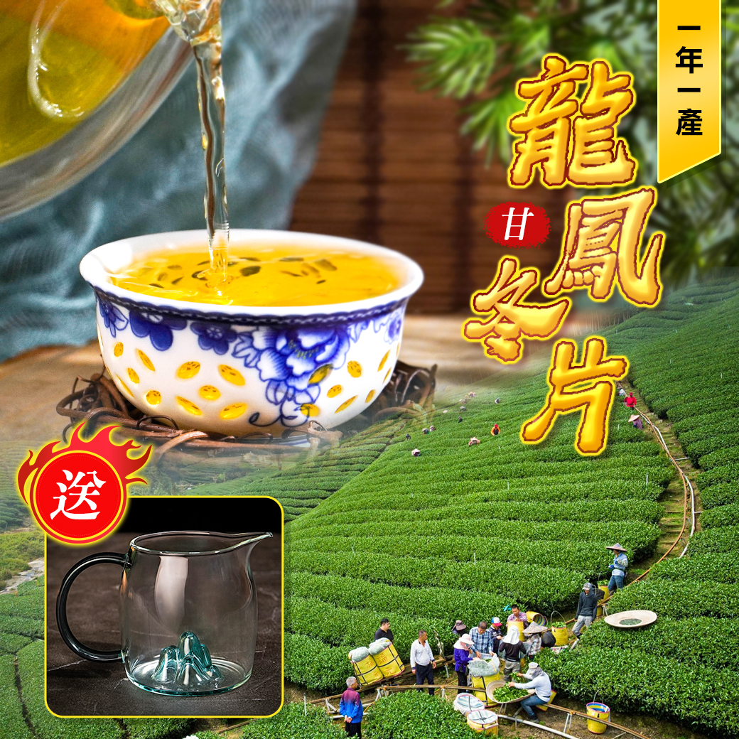 冬季限定｜龍鳳冬片（一斤送半斤）