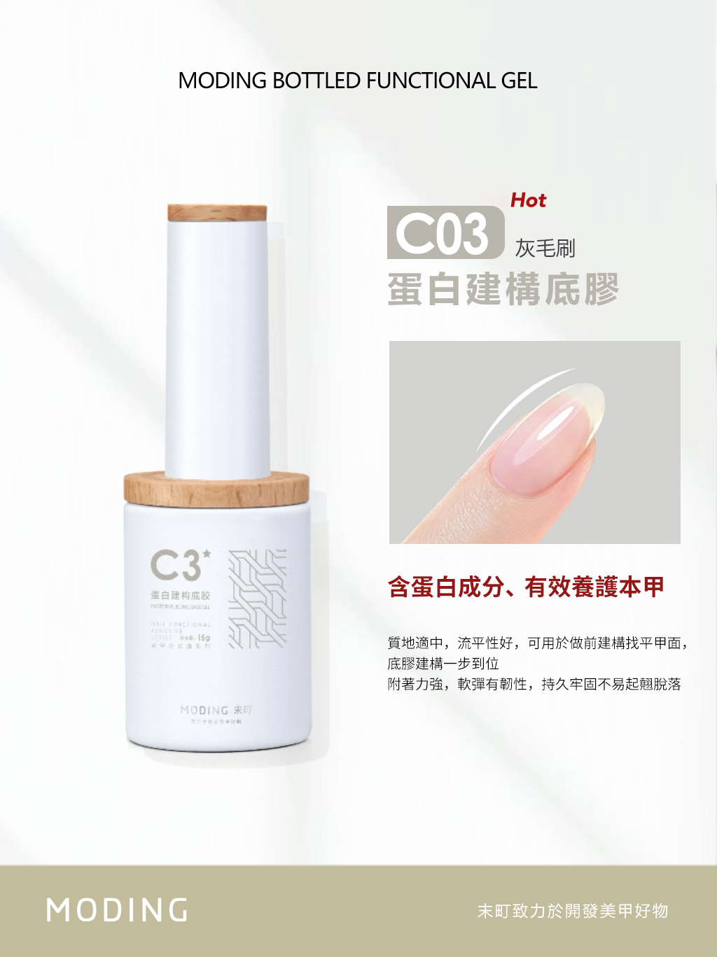 末町｜C3蛋白建構底膠