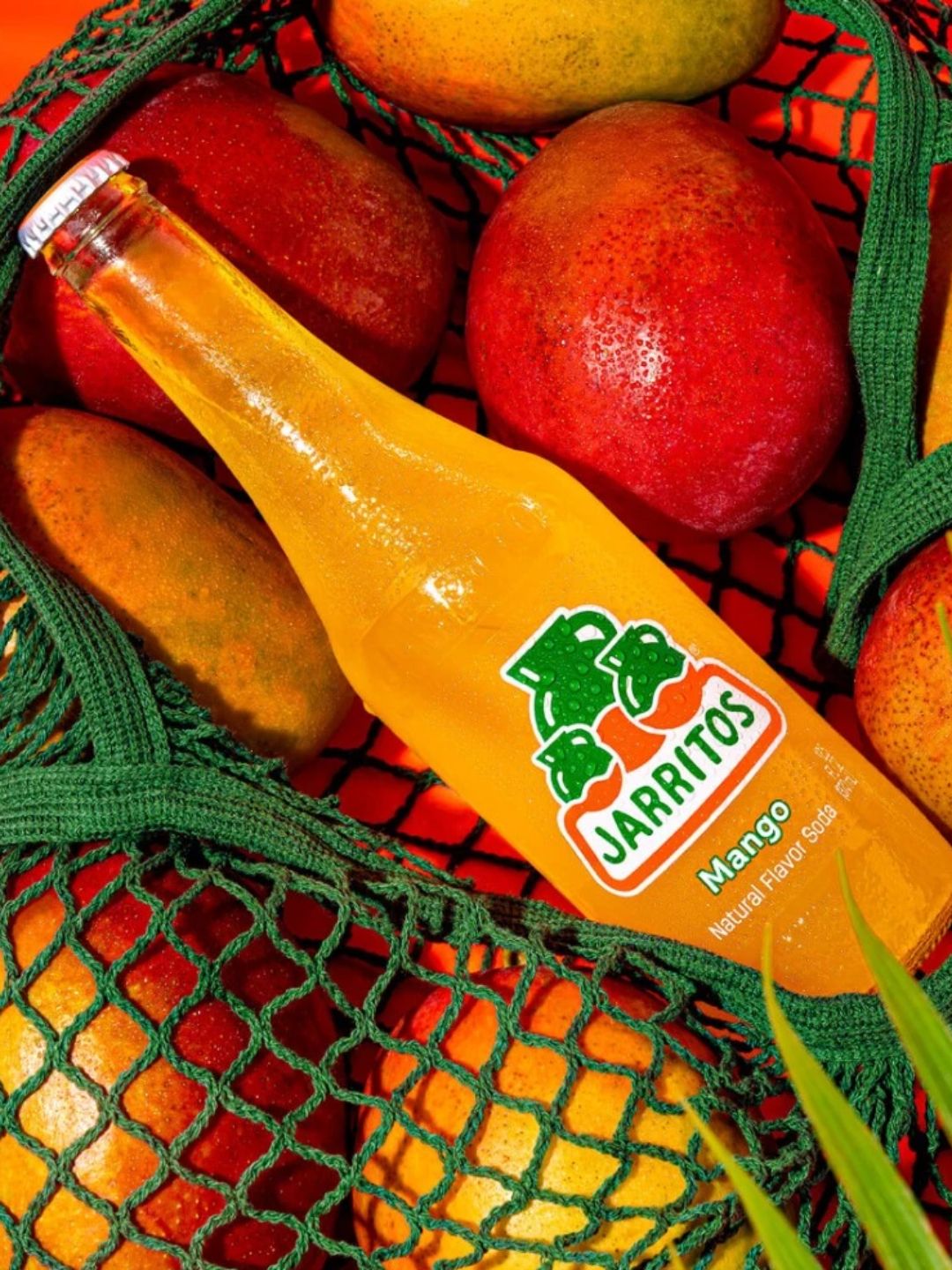 【6入/箱】【免運!】Jarritos 墨西哥國民汽水 (綜合組)6