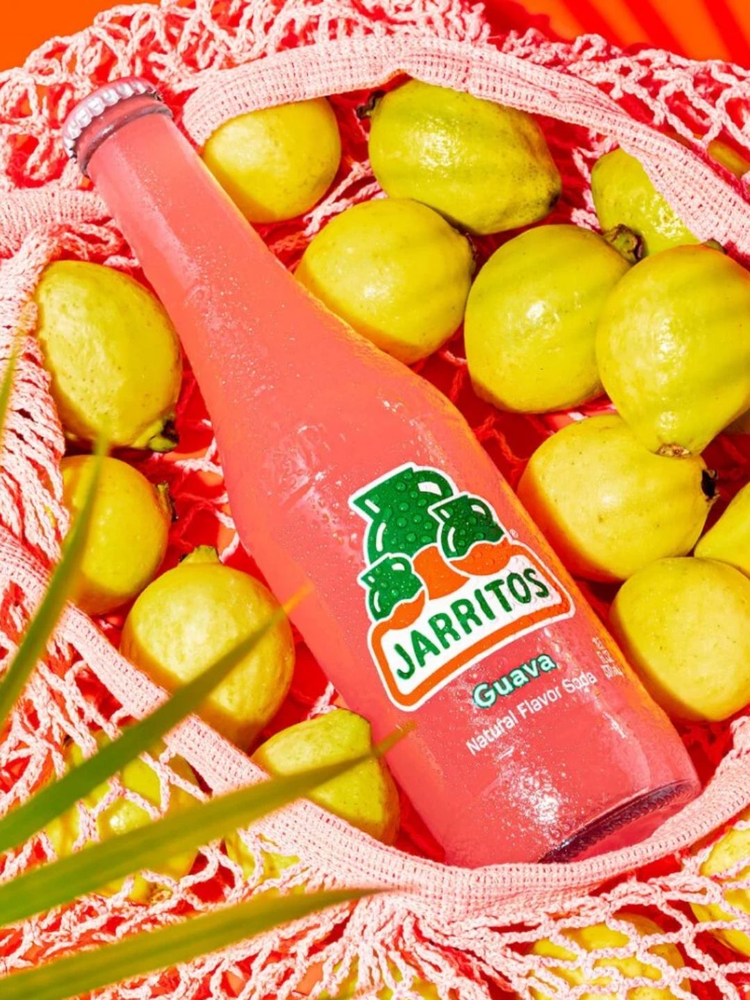【6入/箱】【免運!】Jarritos 墨西哥國民汽水 (綜合組)3