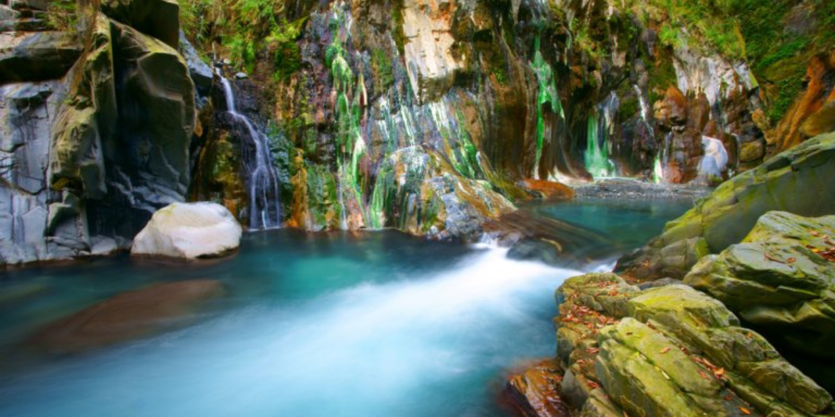 小琉球海龜名字