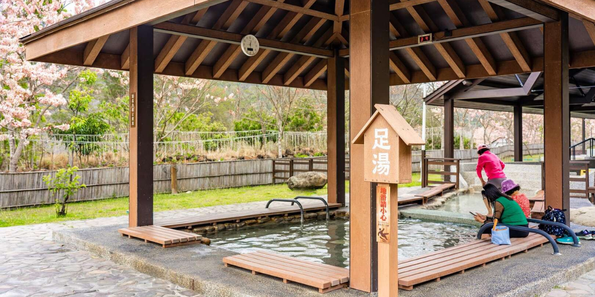 小琉球海龜名字