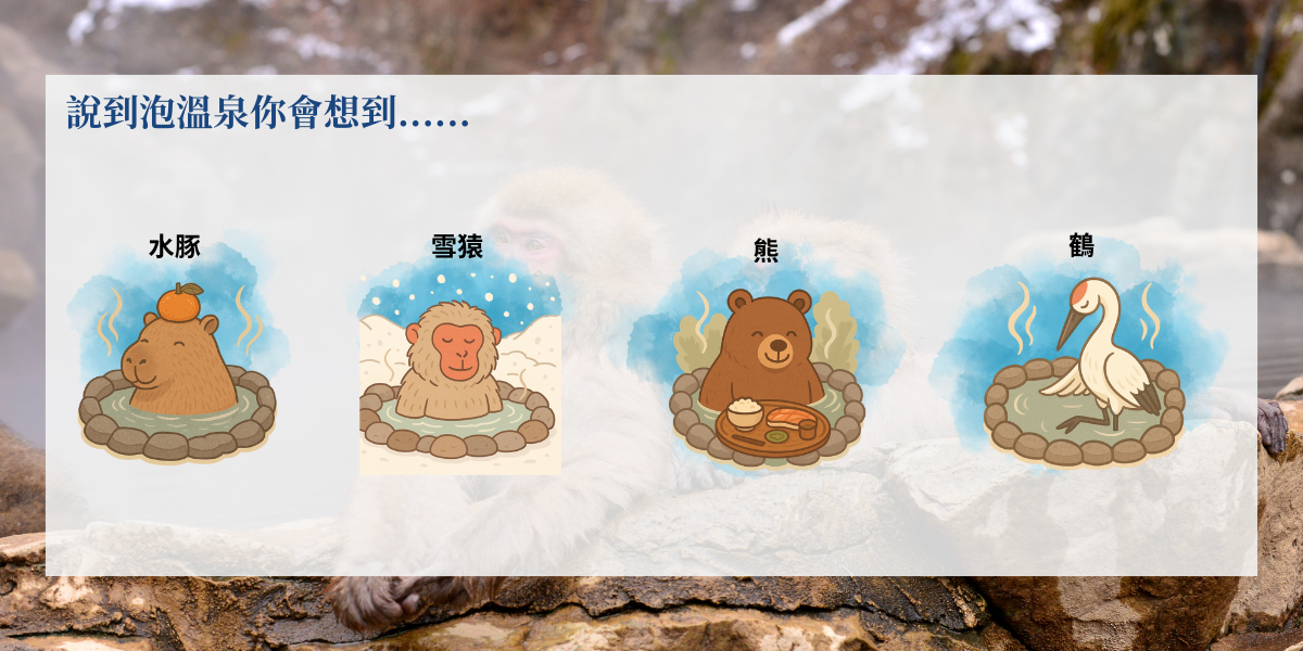 你是哪種溫泉動物呢?