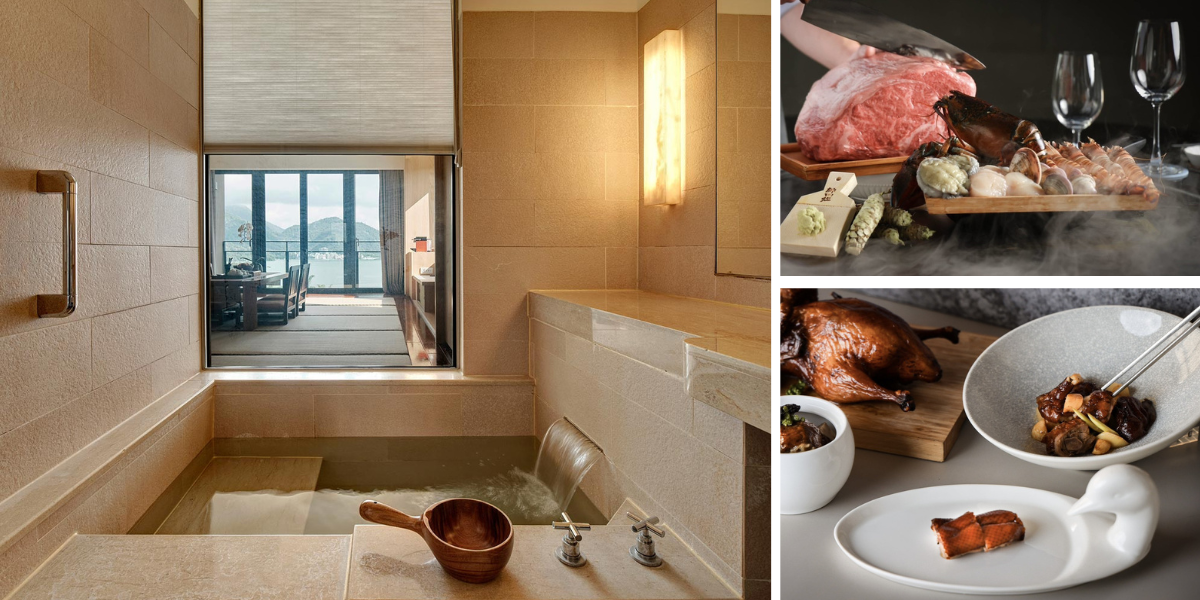 小琉球海龜名字