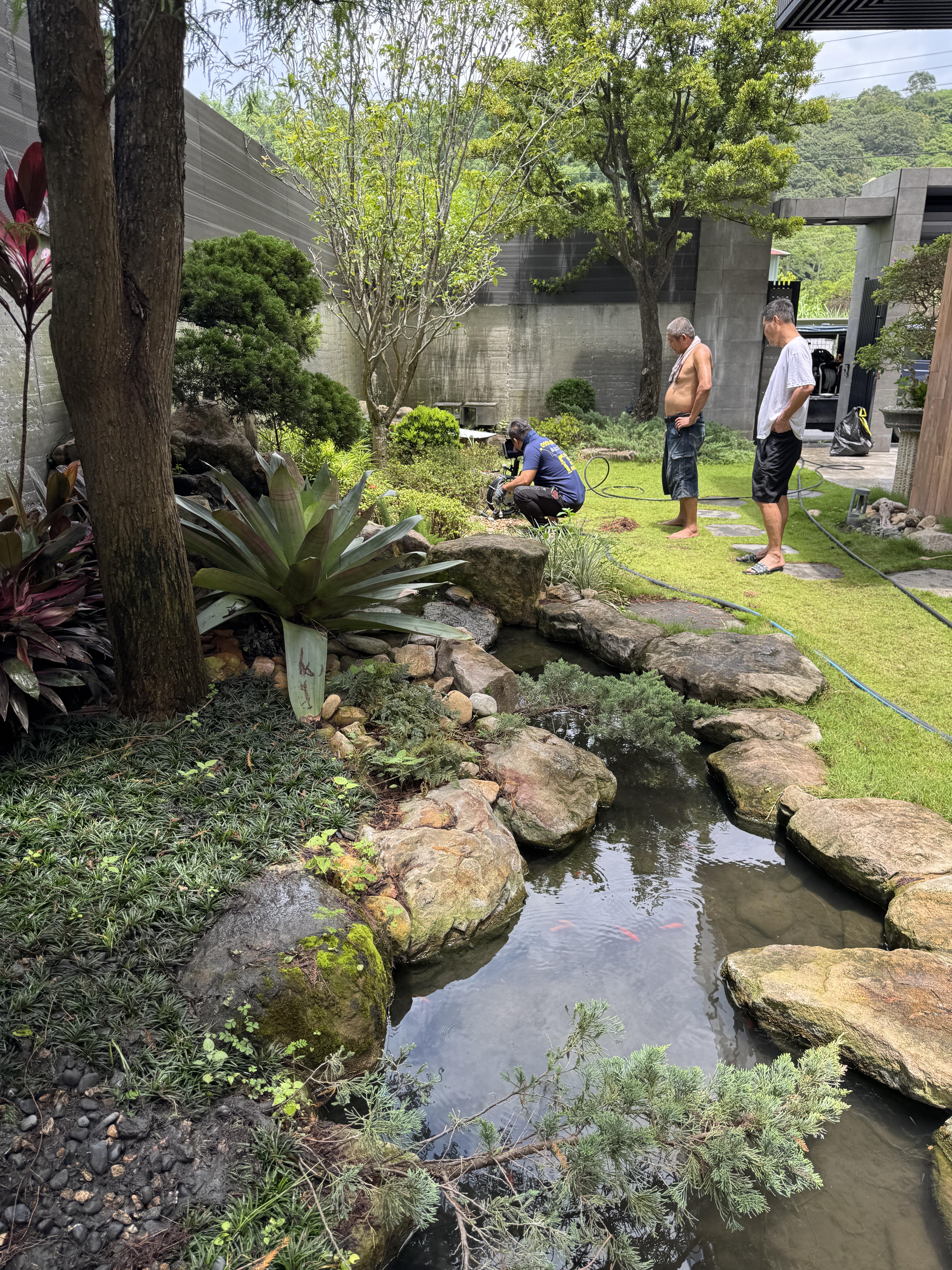 庭園排水箱根鬚堵塞