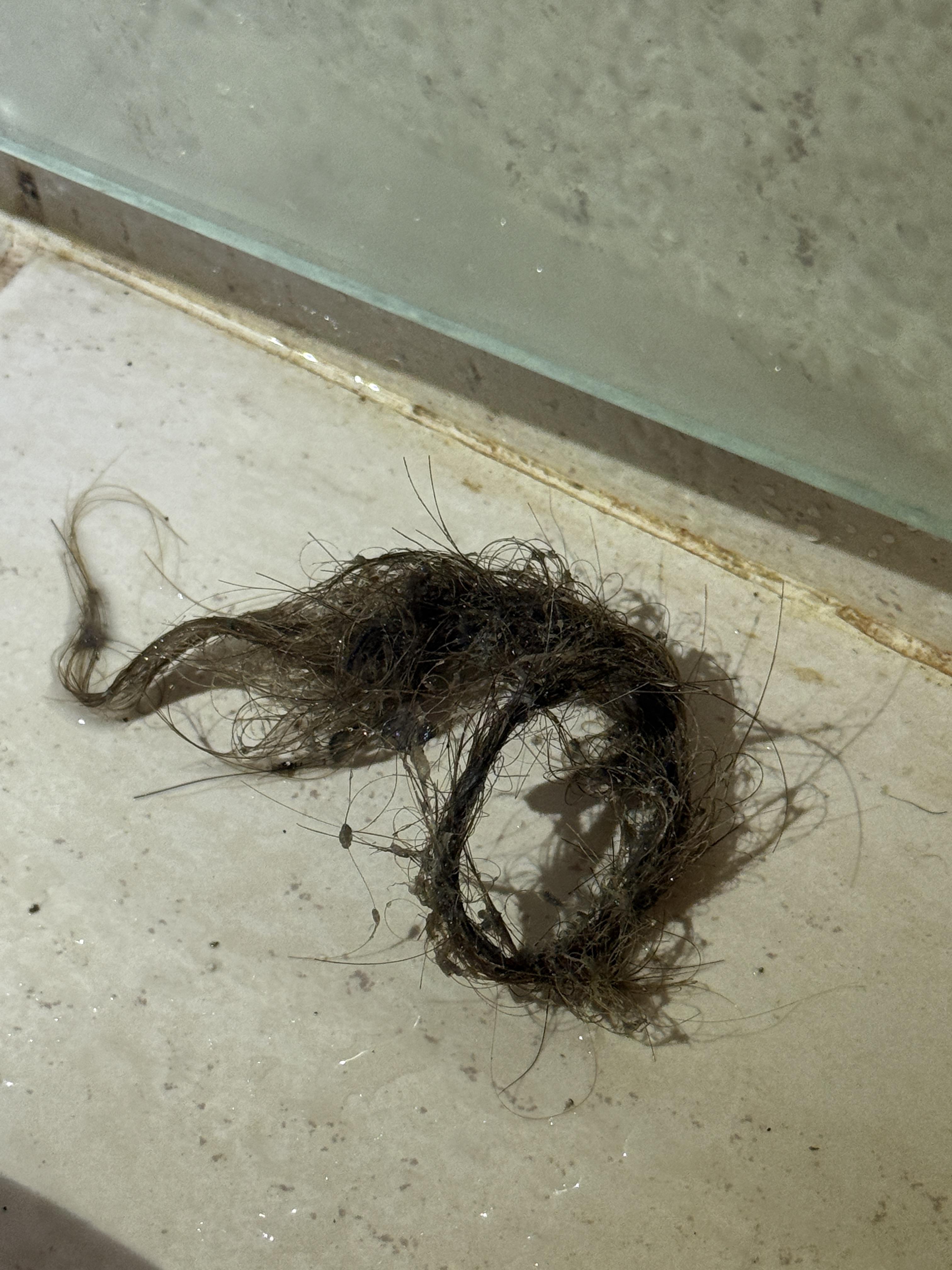 排水口堵塞-高雄通管