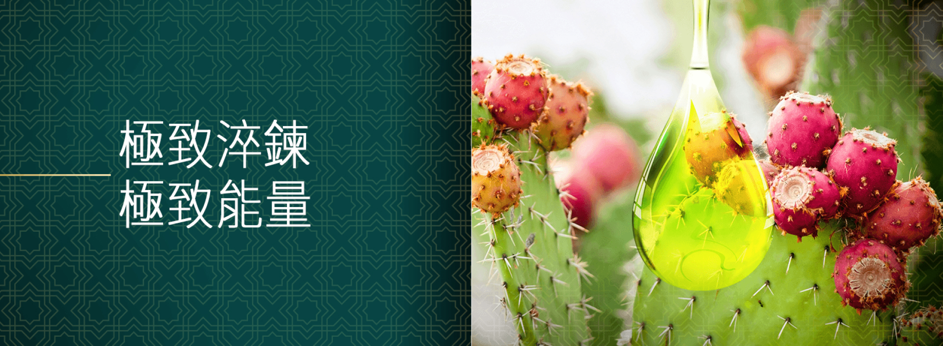 BN2_工作區域 1.png