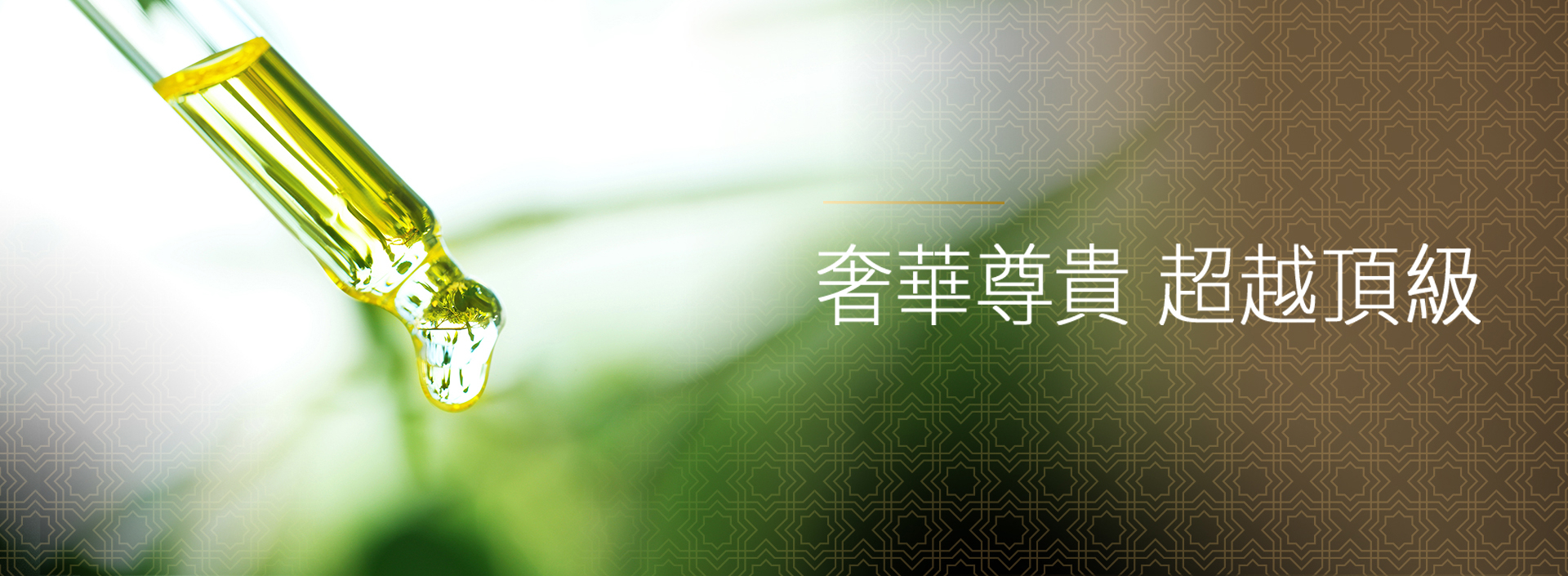 BN3_工作區域 1.png