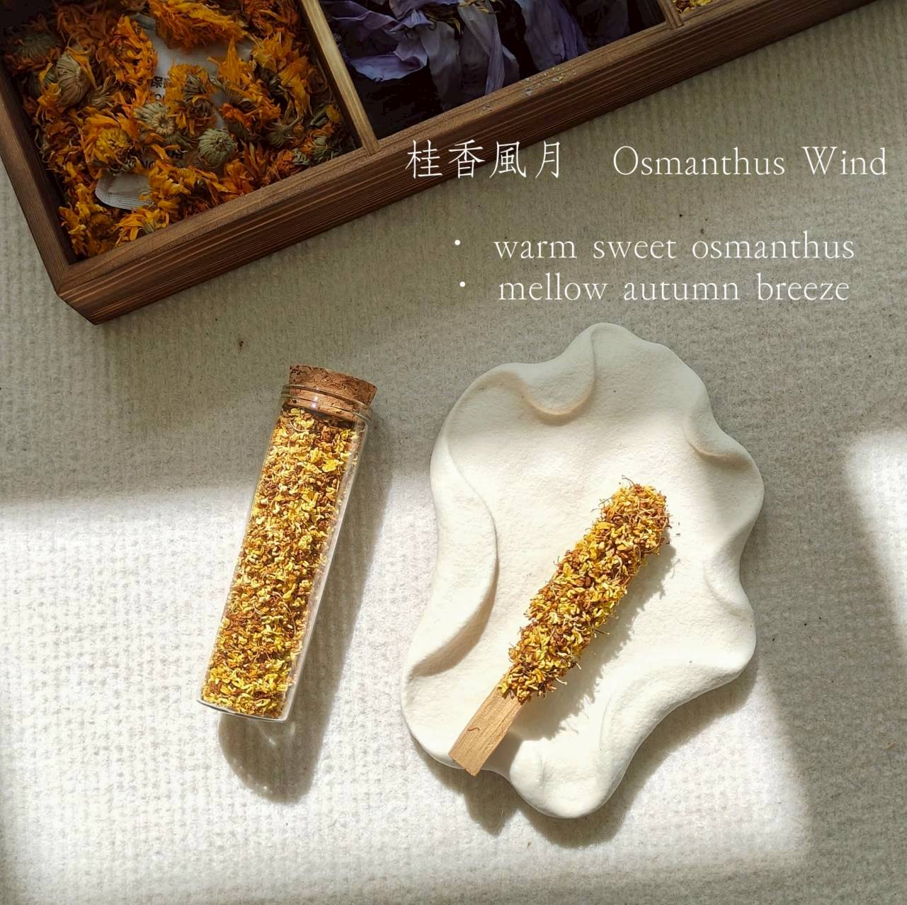 植物系手作聖木棒 五支組 另贈專屬天然水晶5