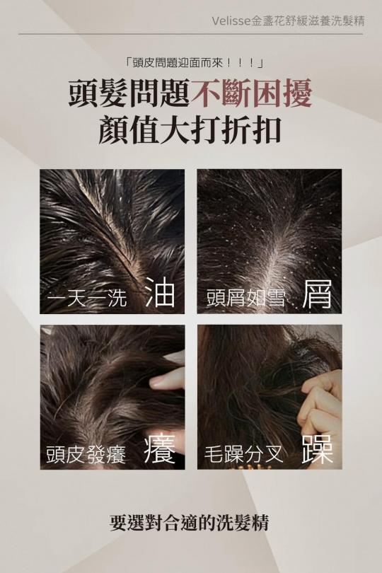 獨家商品 日本製 Velisse 金盞花舒緩滋養洗髮精 500ml3