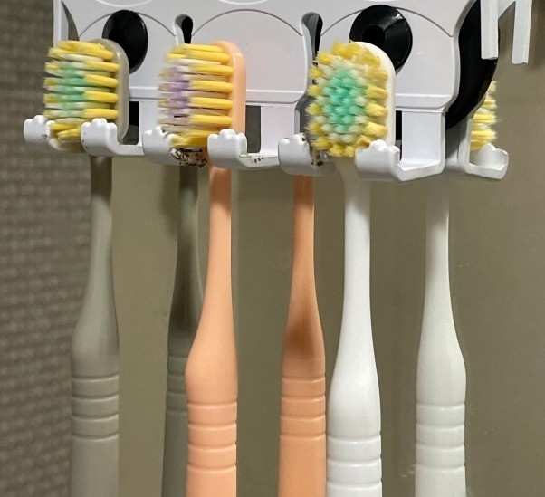 Wood Story寬口細毛牙刷12入家庭號6