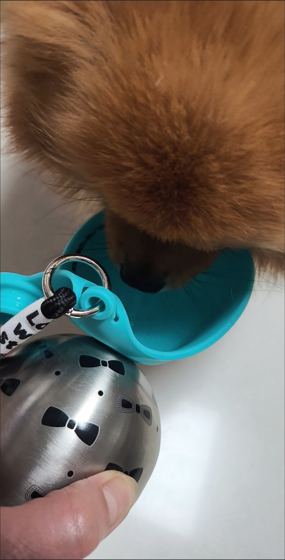 主人超省心隨身寵物飲水壺6