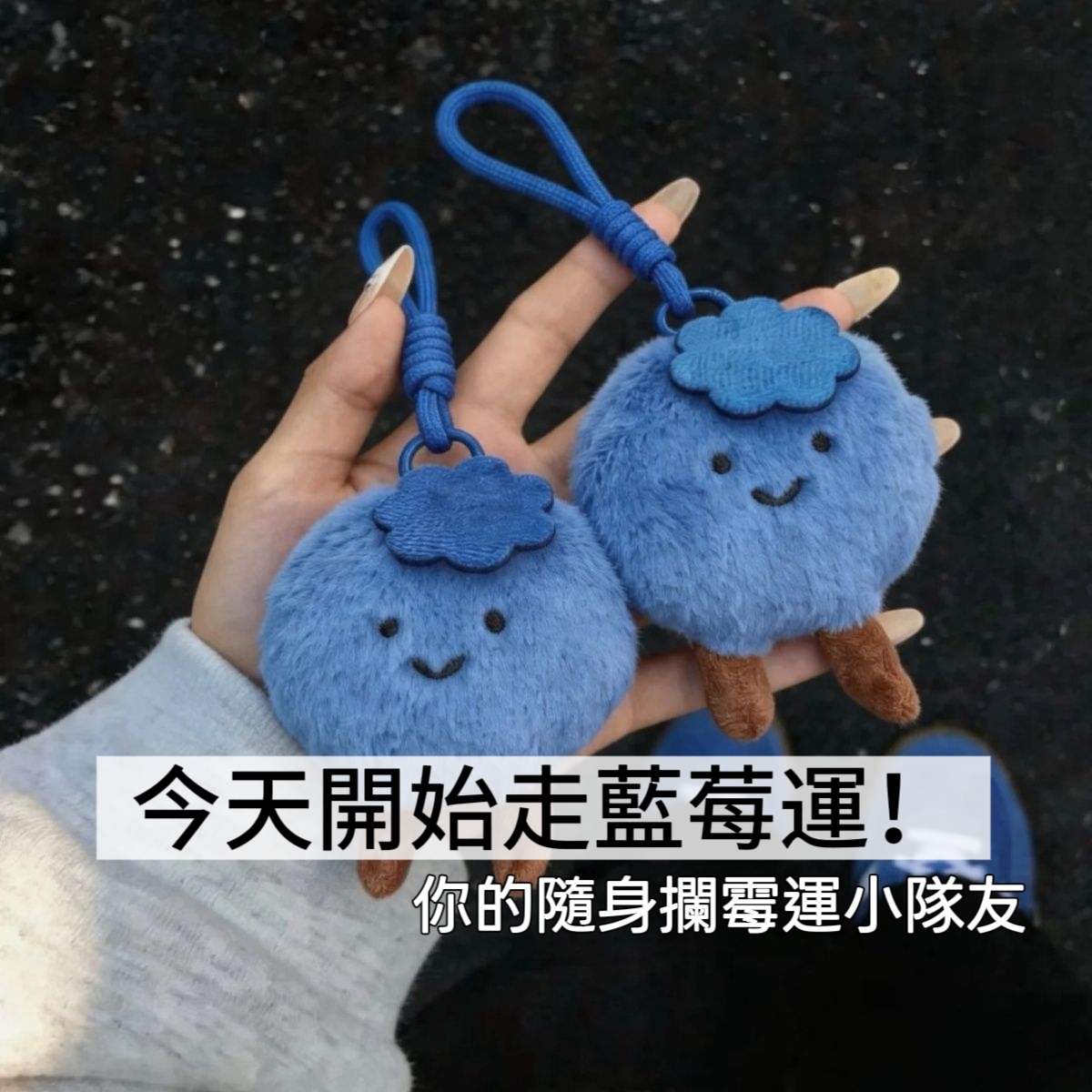 一起「藍莓運」攔霉運藍莓毛絨掛件1
