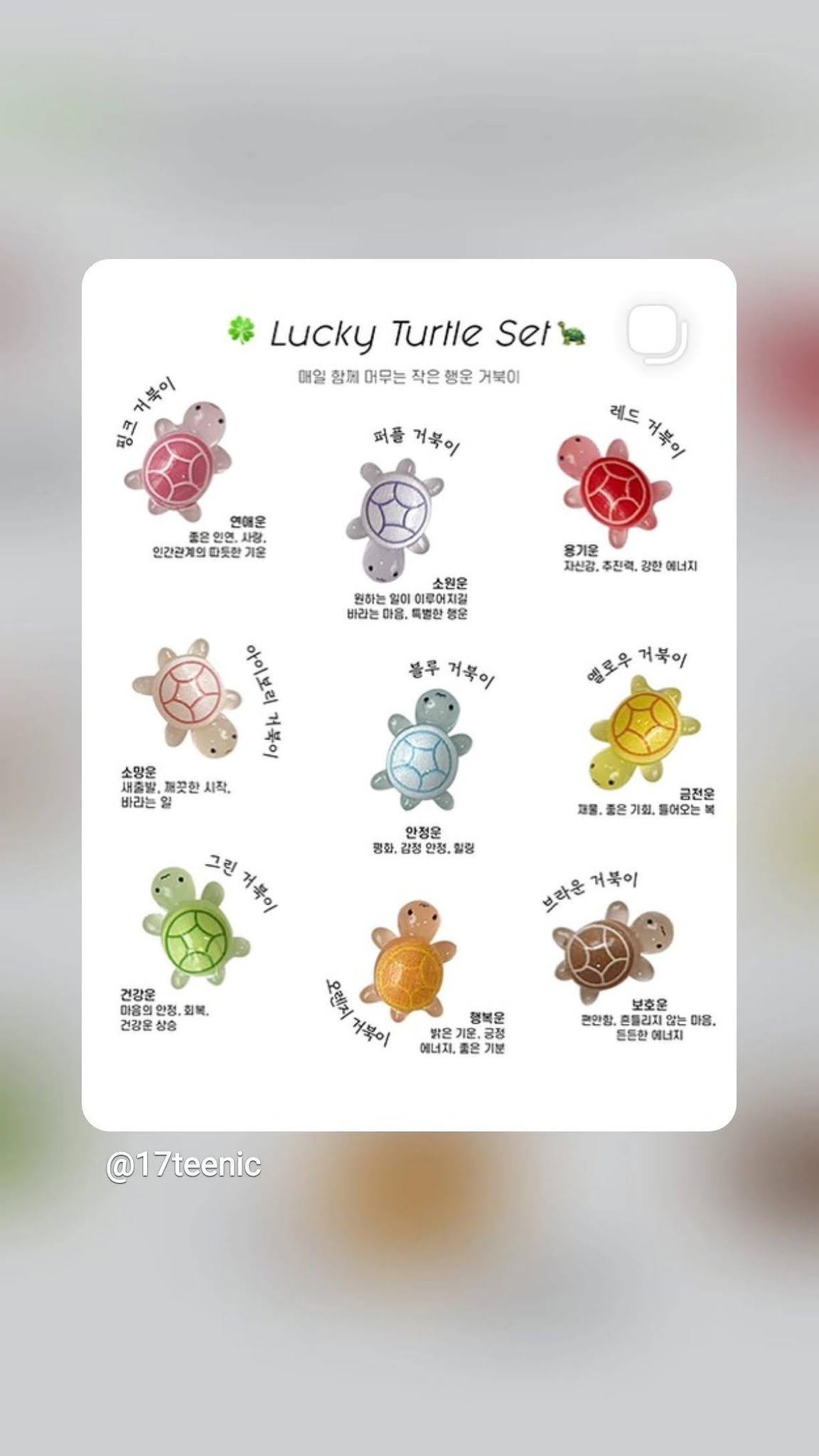 韓國愛豆風靡萌物 夜光迷你幸運小烏龜7