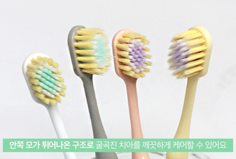 Wood Story寬口細毛牙刷12入家庭號5