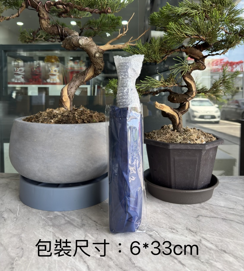 156骨全自動晴雨傘|大傘面・抗風・防曬・一鍵開收 9/4結單10