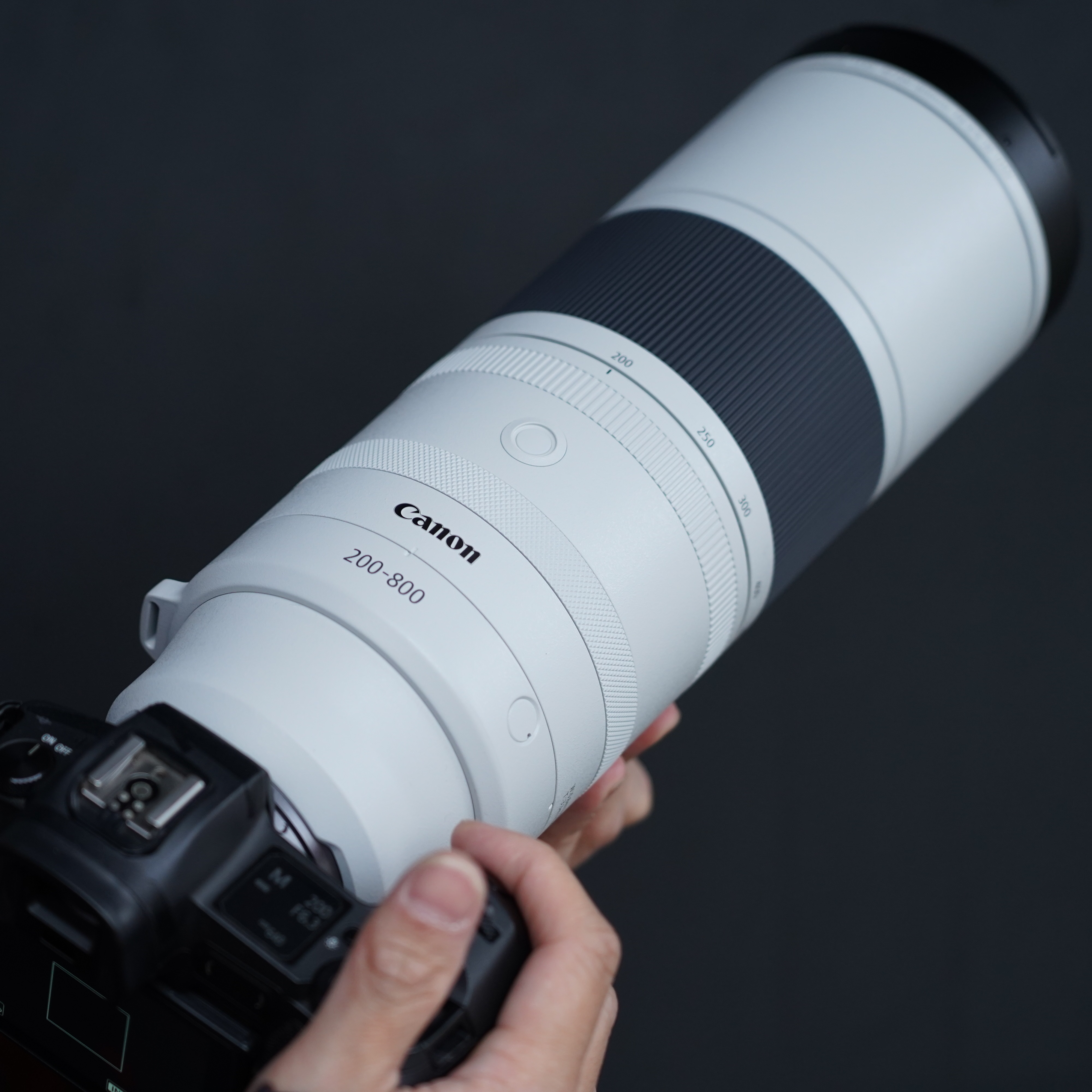 鏡花園【Canon RF 200-800mm f6.3-9 IS USM】