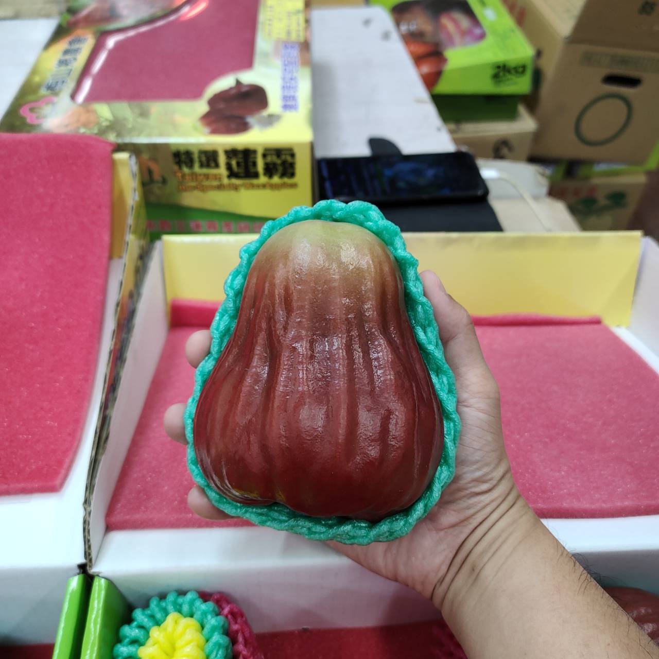 215670_0.jpg