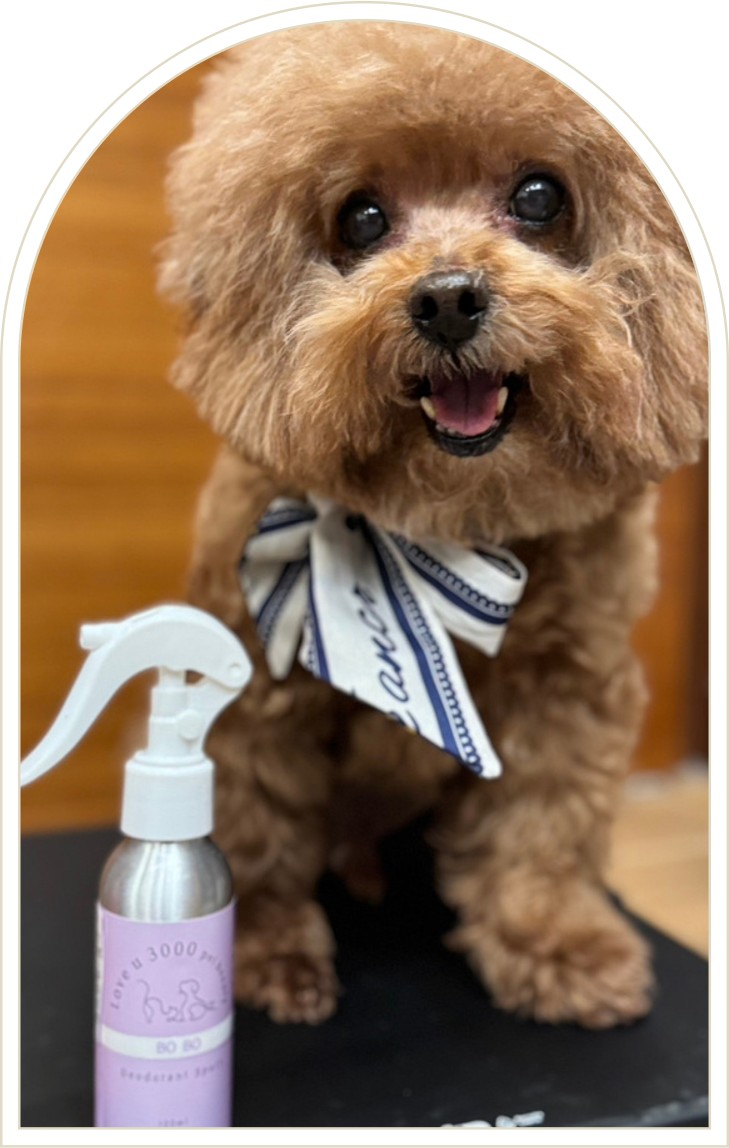 材料包成品說明-(家具友善)天然環境消臭淨露100ml