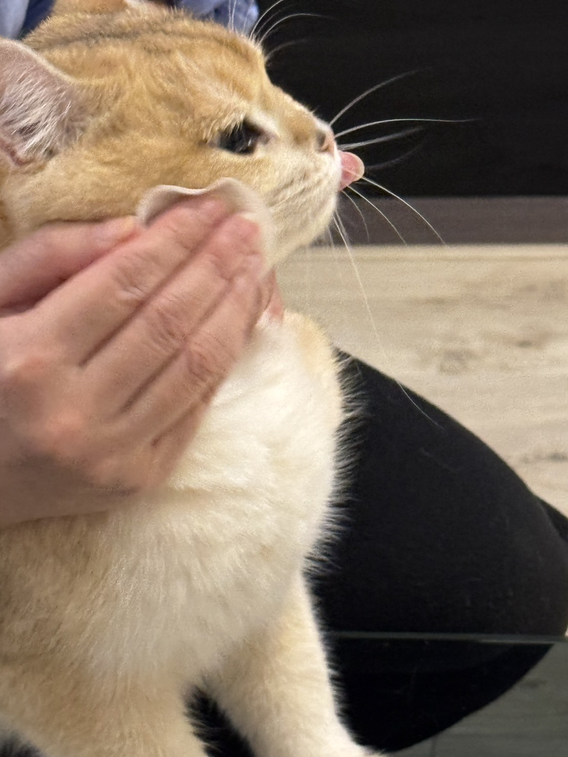 材料包成品說明-(眼周精華水)天然潔眼修護純露60ml2