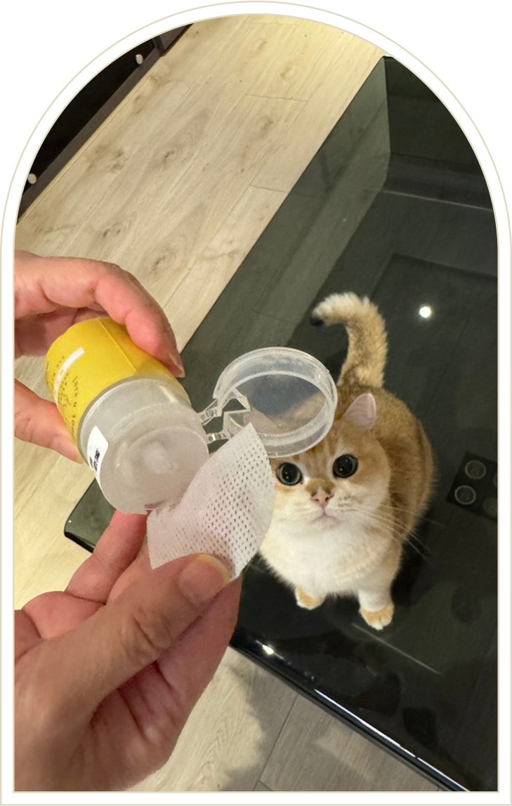 材料包成品說明-(眼周精華水)天然潔眼修護純露60ml