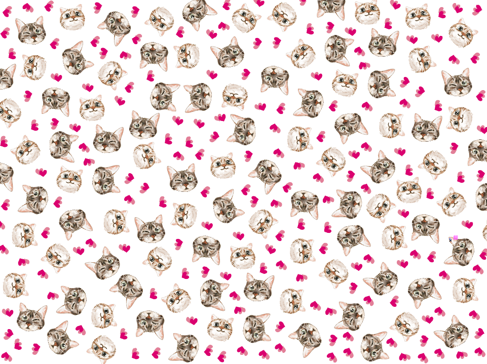 A3彩膜-愛心小貓