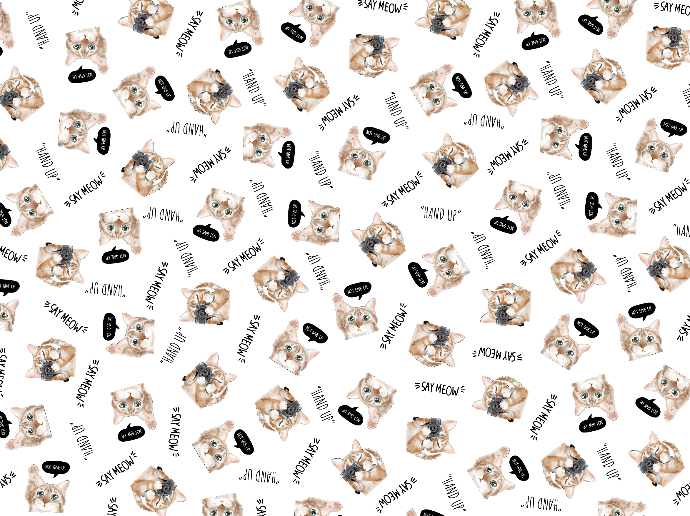 A3彩膜-照相小貓