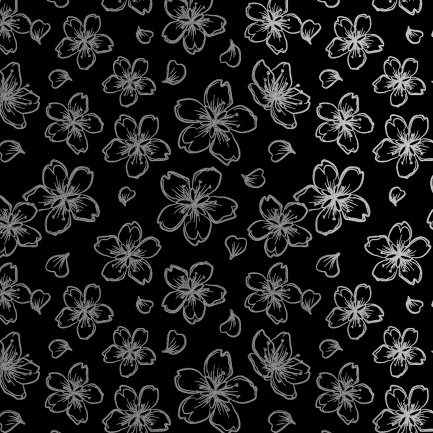 黑占-A3晶雕膜-櫻花