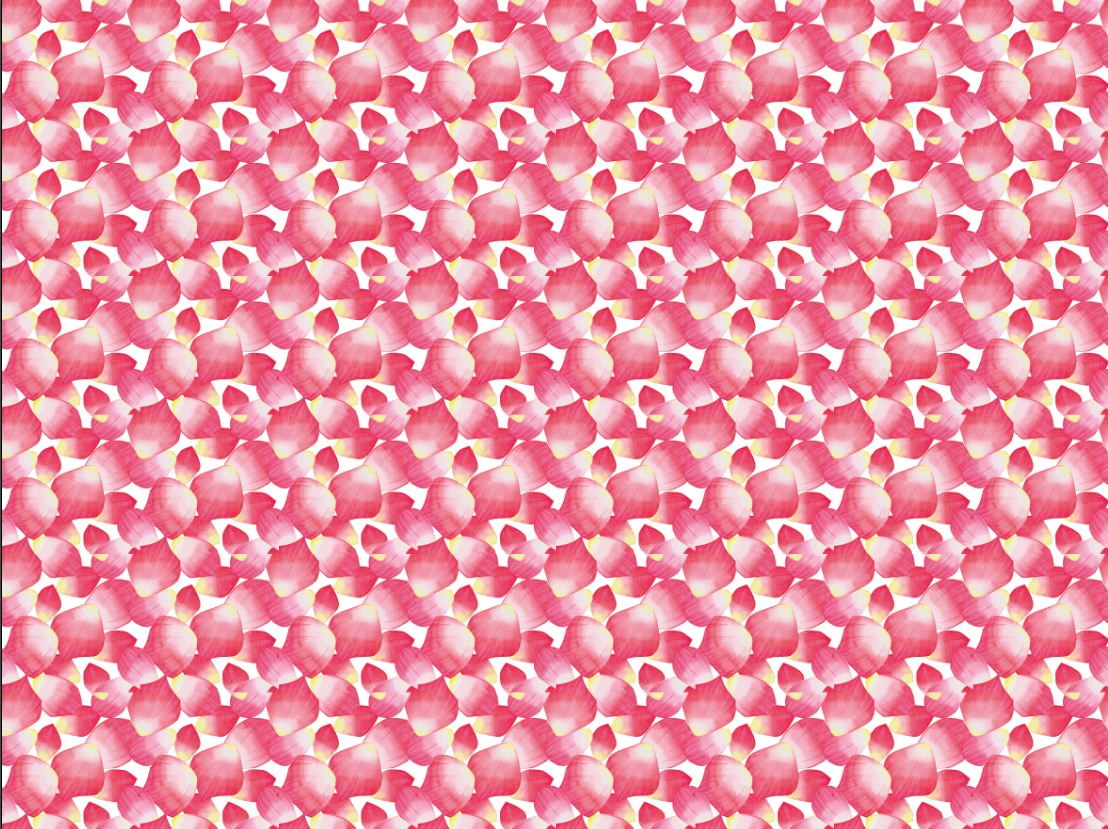 A3彩膜-花瓣玫瑰